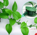 40 Zelfklevende plantenclips, grote set, in een groene schutkleur