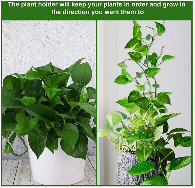 40 Zelfklevende plantenclips, grote set, in een groene schutkleur