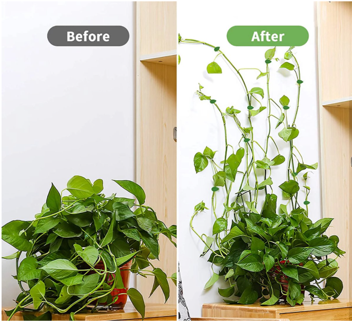40 Zelfklevende plantenclips, grote set, in een groene schutkleur