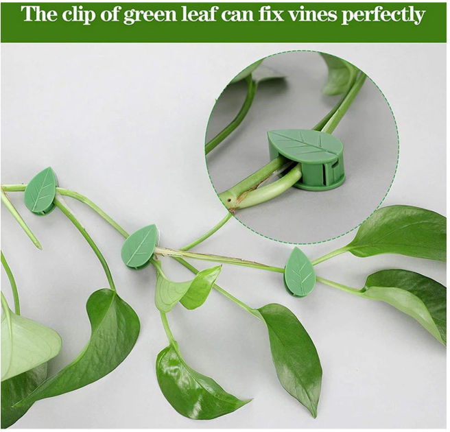 40 Zelfklevende plantenclips, grote set, in een groene schutkleur