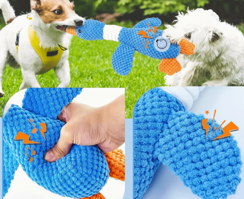 Gans hondenspeeltje, voor alle hondensoorten