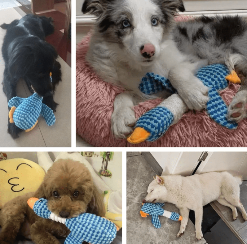 Gans hondenspeeltje, voor alle hondensoorten