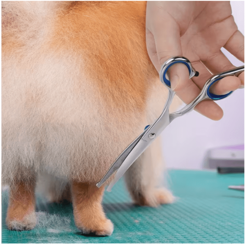 Gebogen veiligheidsschaar met ronde punt voor honden en katten, roestvrij staal